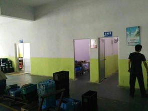 松岗新推精品小面积厂房出租 灵活高效，助力企业发展